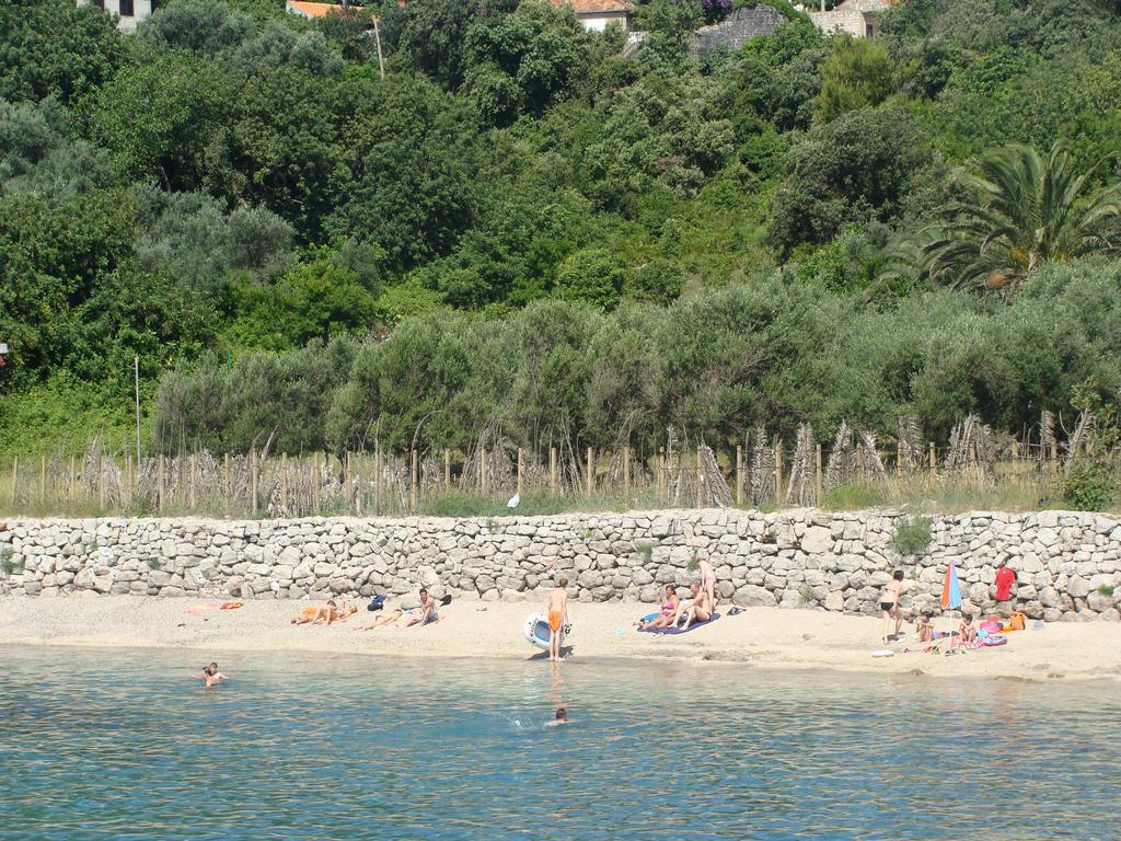 Apartments Nena Molunat Dış mekan fotoğraf