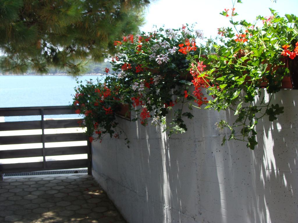 Apartments Nena Molunat Dış mekan fotoğraf
