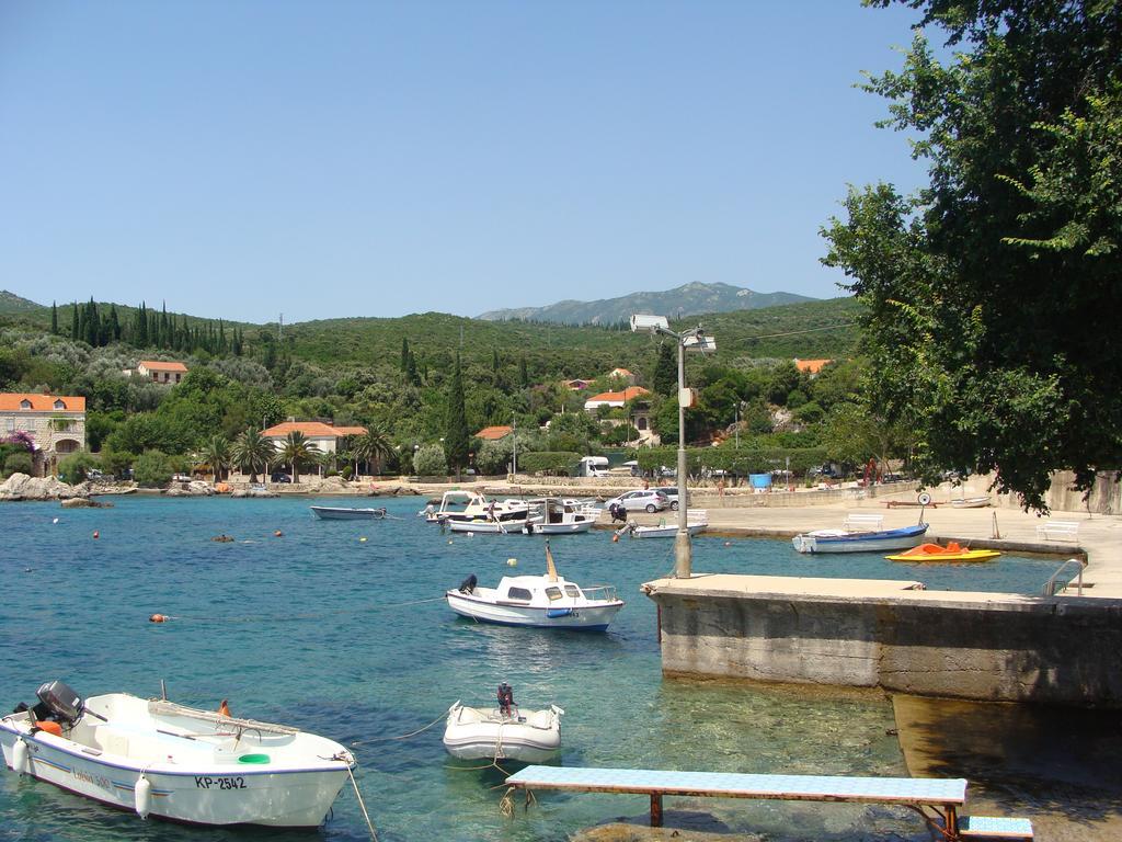 Apartments Nena Molunat Dış mekan fotoğraf