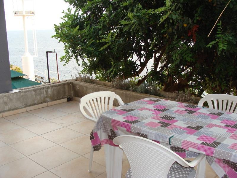 Apartments Nena Molunat Dış mekan fotoğraf