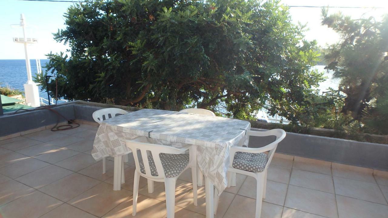 Apartments Nena Molunat Dış mekan fotoğraf